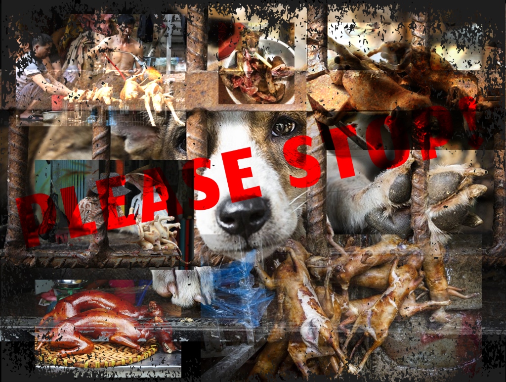 Collage showing the harsh realities of the dog meat trade with the text PLEASE STOP!